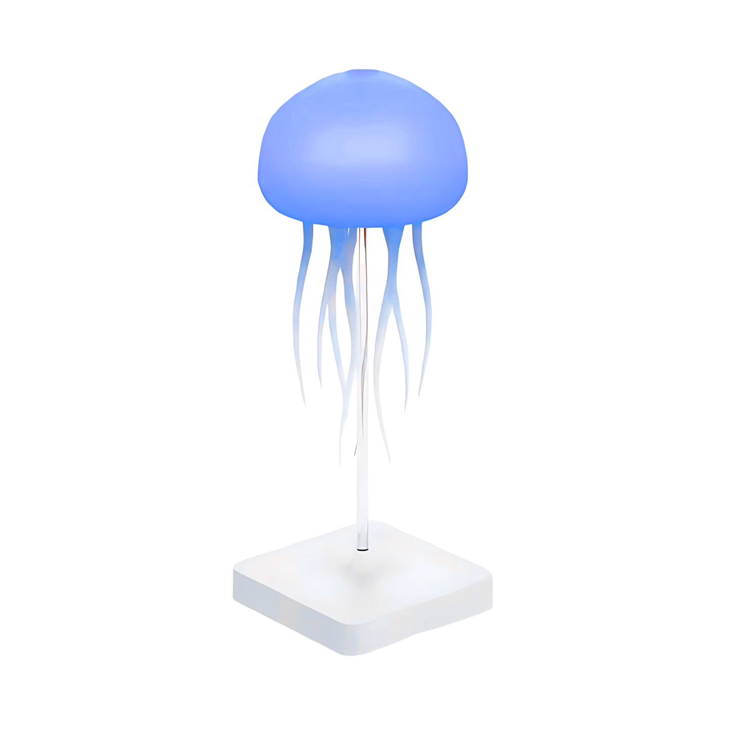 JellyLamp™